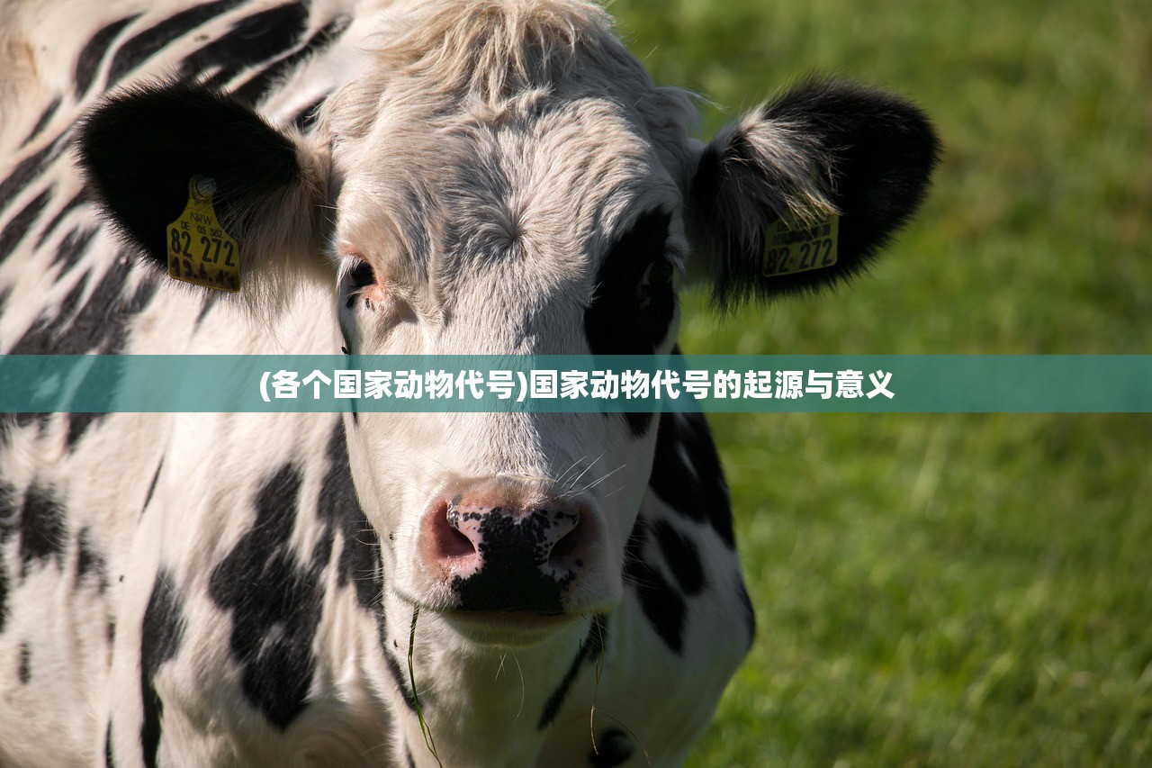 (各个国家动物代号)国家动物代号的起源与意义 (各个国家动物代号)国家动物代号的起源与意义