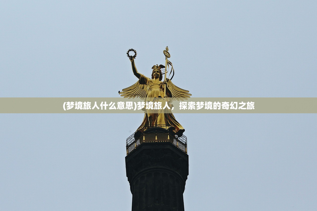 (战国无双4-2)战国无双4，深度分析与探索