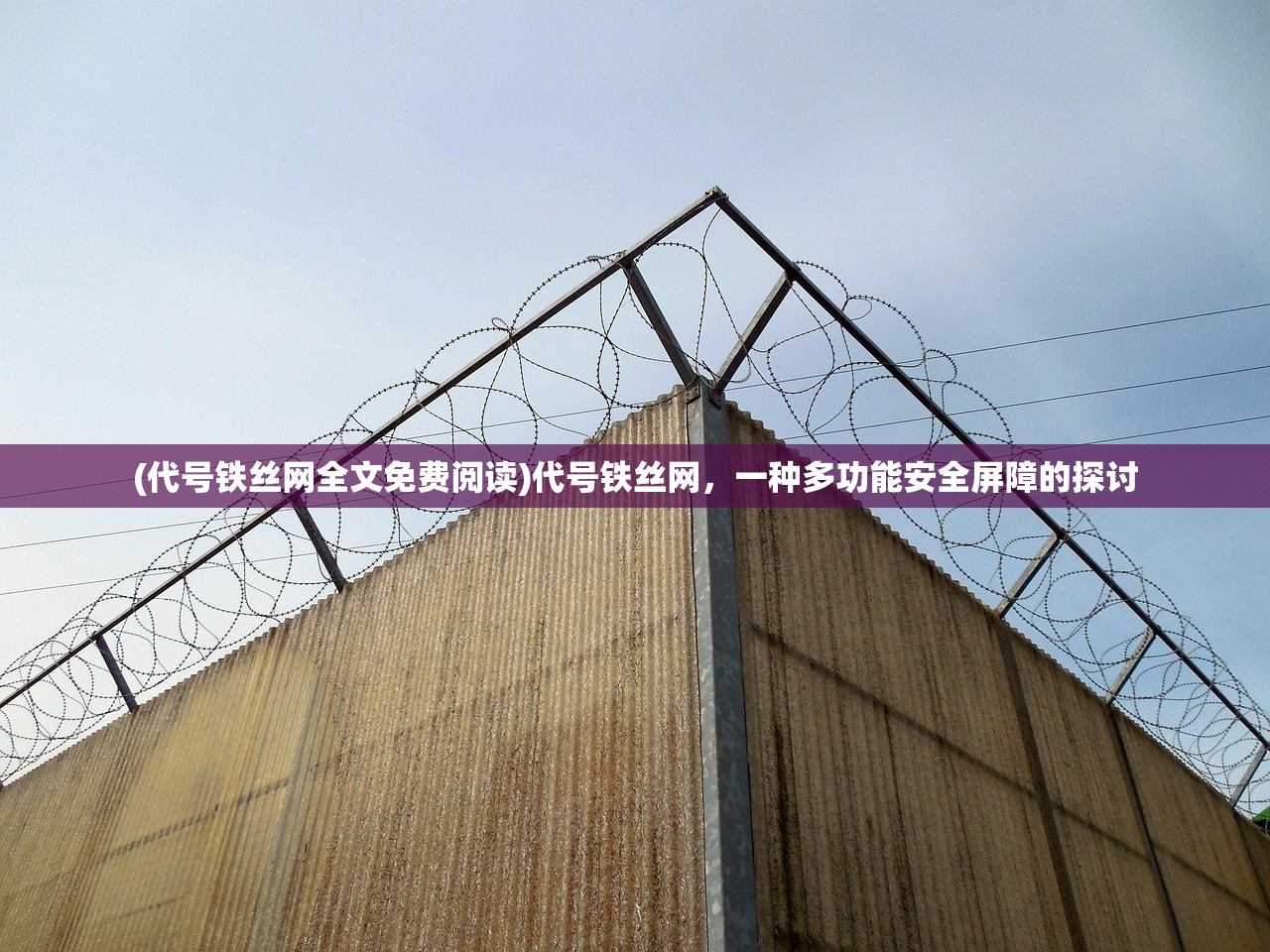 (置换三国最强阵容)置换三国狗粮，一场跨界融合的创新探索