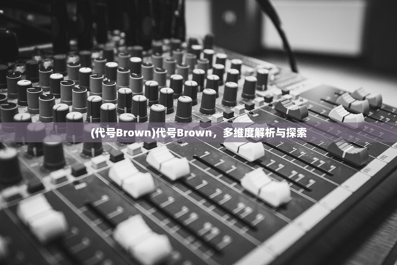 (代号Brown)代号Brown,多维度解析与探索 (代号Brown)代号Brown,多维度解析与探索