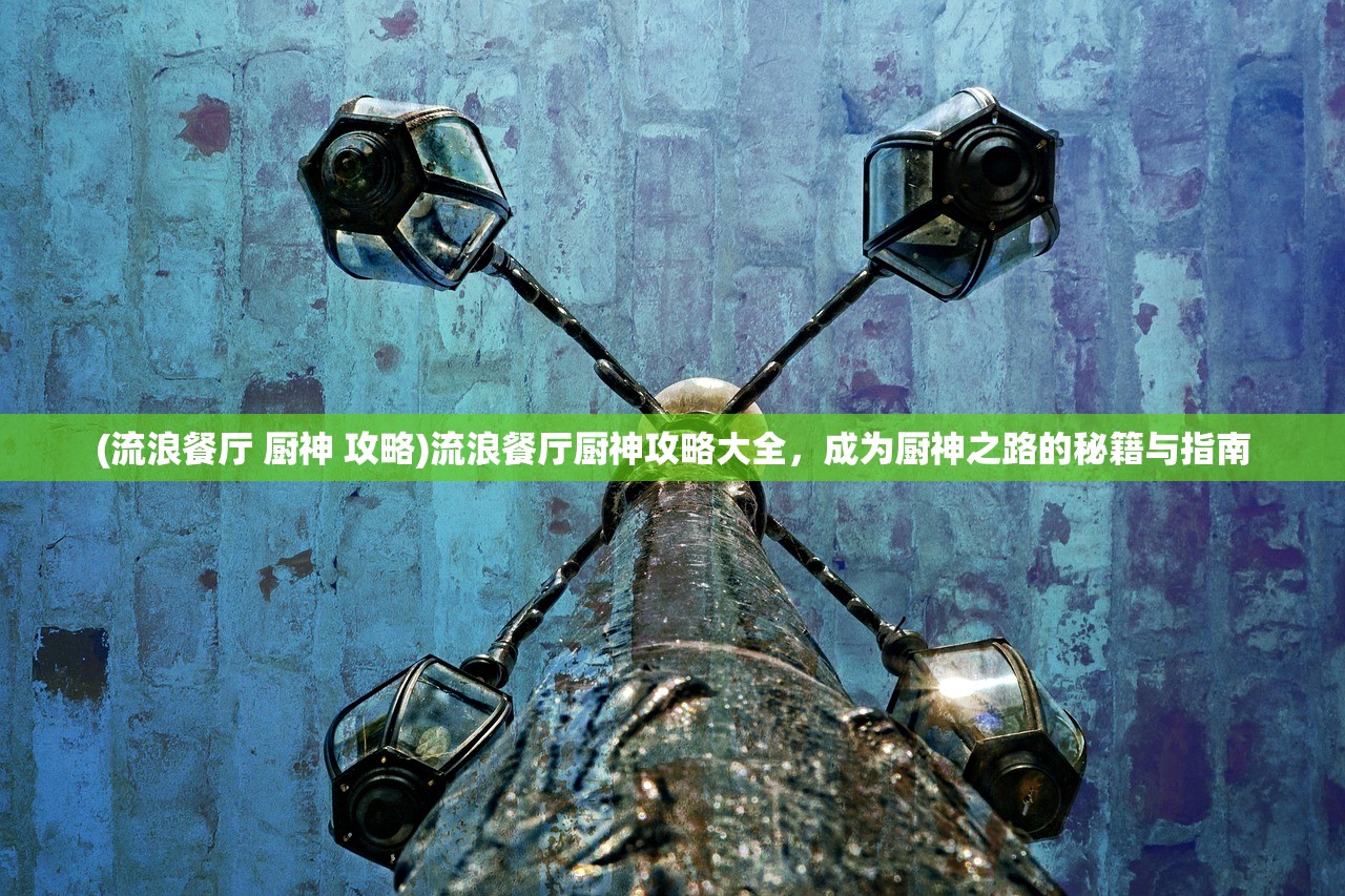 (流浪餐厅 厨神 攻略)流浪餐厅厨神攻略大全，成为厨神之路的秘籍与指南