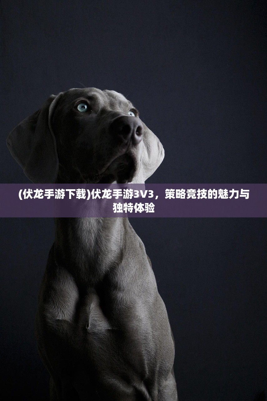 (伏龙手游下载)伏龙手游3V3,策略竞技的魅力与独特体验 (伏龙手游下载)伏龙手游3V3,策略竞技的魅力与独特体验