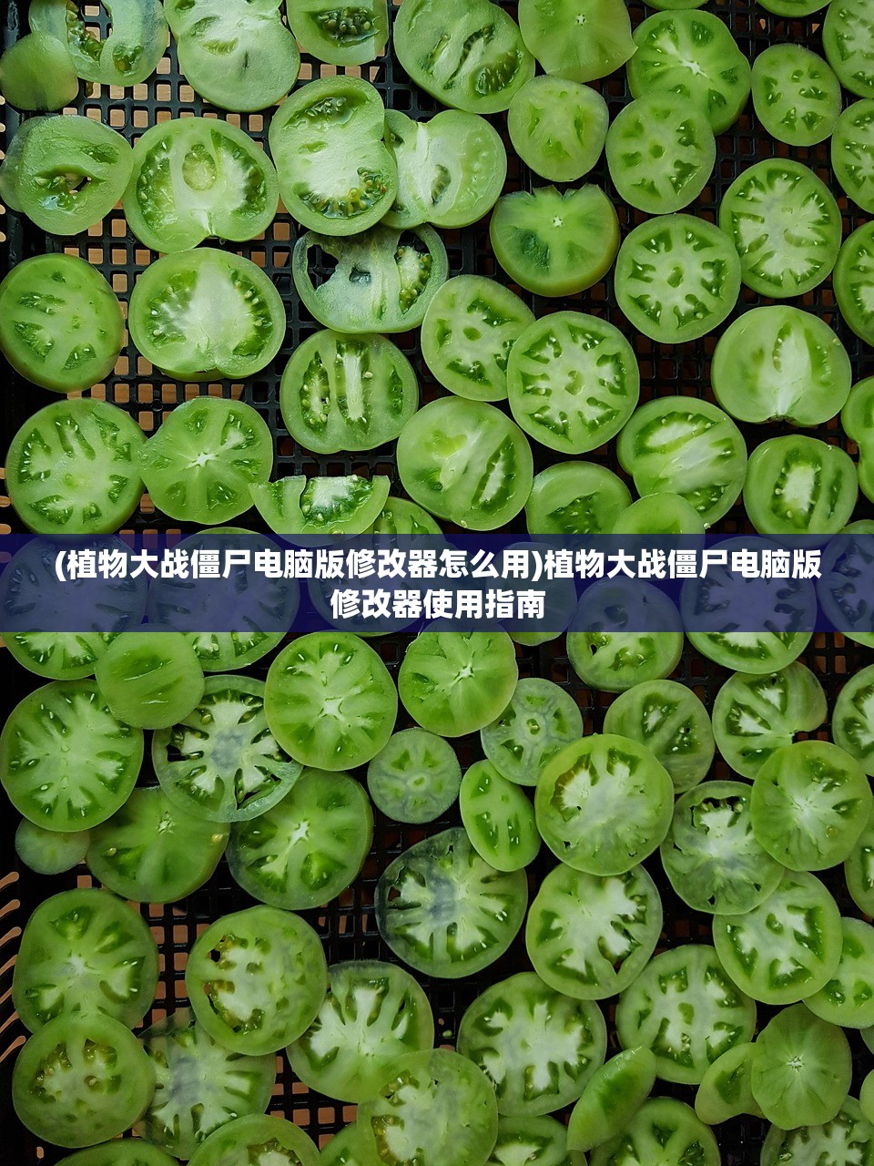 (植物大战僵尸电脑版修改器怎么用)植物大战僵尸电脑版修改器使用指南