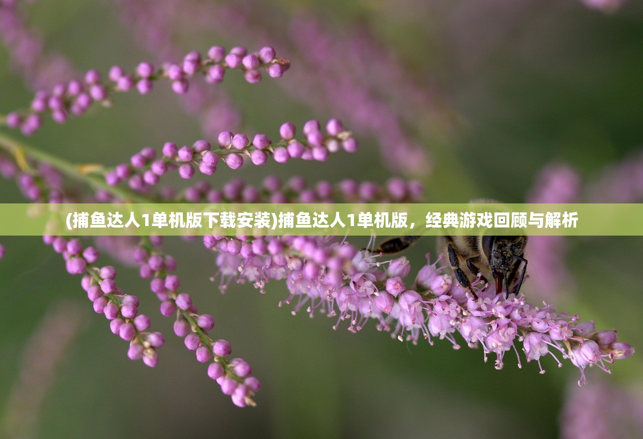 (枫叶岛手游官网)枫叶岛手游,探索奇幻世界的冒险之旅 (枫叶岛手游官网)枫叶岛手游,探索奇幻世界的冒险之旅