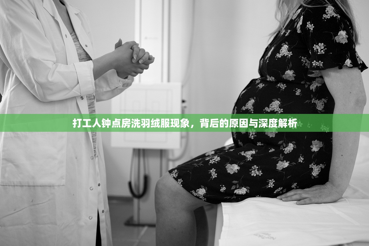 打工人钟点房洗羽绒服现象,背后的原因与深度解析 打工人钟点房洗羽绒服现象,背后的原因与深度解析