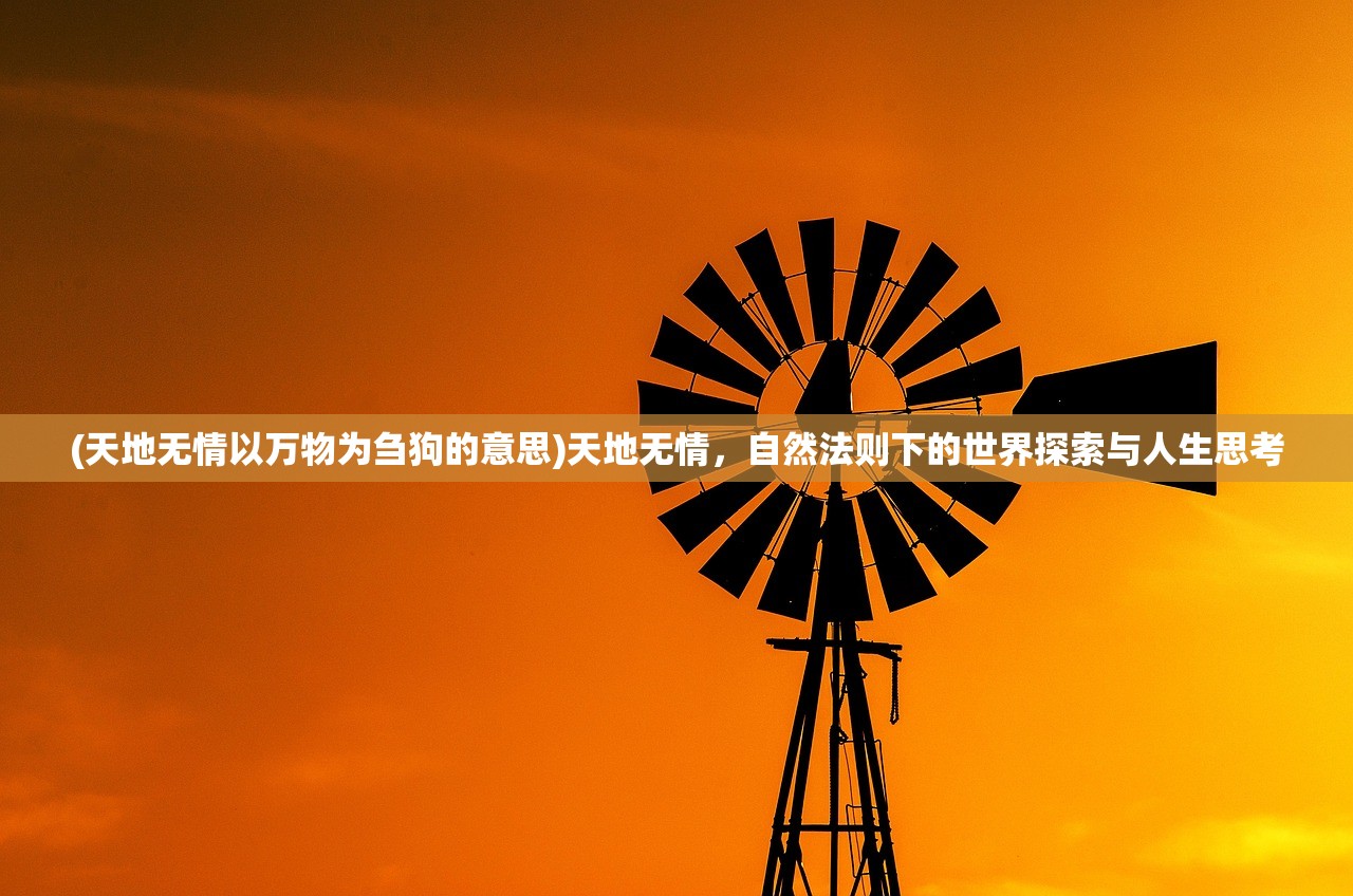 (天地无情以万物为刍狗的意思)天地无情,自然法则下的世界探索与人生思考 (天地无情以万物为刍狗的意思)天地无情,自然法则下的世界探索与人生思考