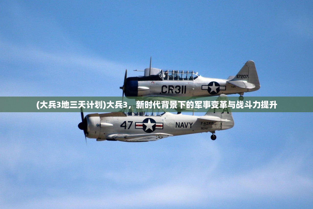 (大兵3地三天计划)大兵3,新时代背景下的军事变革与战斗力提升 (大兵3地三天计划)大兵3,新时代背景下的军事变革与战斗力提升