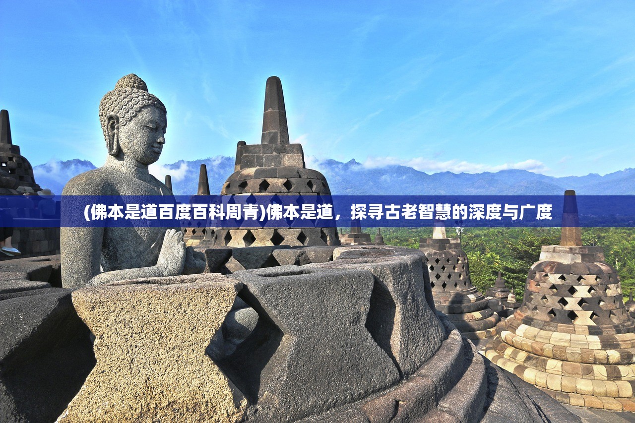 (佛本是道百度百科周青)佛本是道,探寻古老智慧的深度与广度 (佛本是道百度百科周青)佛本是道,探寻古老智慧的深度与广度